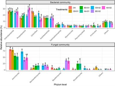 Heavy metal pollution decreases the stability of microbial co-occurrence networks in the rhizosphere of native plants